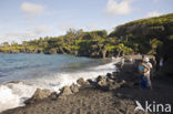 Waianapanapa State Park