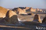 White Desert National Park