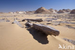 White Desert National Park