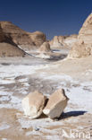 White Desert National Park