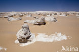 White Desert National Park