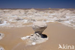 White Desert National Park