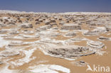 White Desert National Park