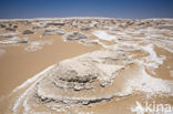 White Desert National Park