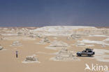 White Desert National Park