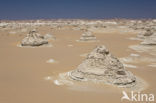 White Desert National Park