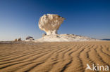 White Desert National Park