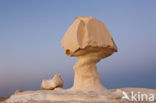 White Desert National Park