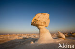 White Desert National Park