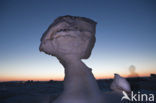 White Desert National Park