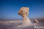 White Desert National Park