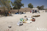 Dakhla Oasis