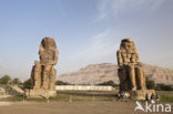 Kolossen van Memnon