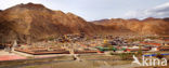 Labrang Monastery