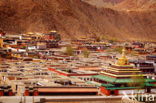 Labrang Monastery