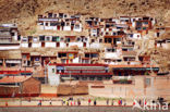 Labrang Monastery