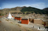 Labrang Klooster