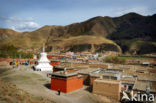 Labrang Klooster