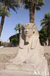 Luxortempel