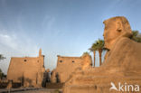 Luxortempel