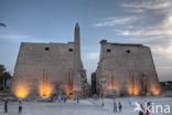 Luxor Temple