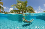 Male Atoll