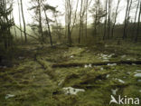 National Park Sallandse Heuvelrug