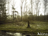 National Park Sallandse Heuvelrug