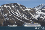 Spitsbergen