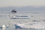 Spitsbergen