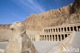 Mortuary temple of Hatshepsut