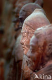 Terracotta Army