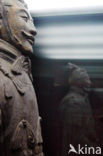 Terracotta Army