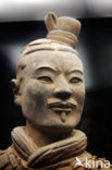 Terracotta Army