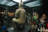 Terracotta Army