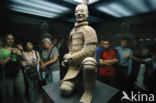 Terracotta Army