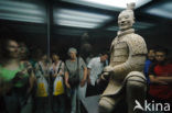 Terracotta Army