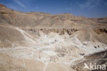 Valley of the Kings