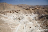 Valley of the Kings