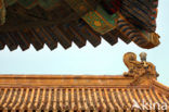 Forbidden City