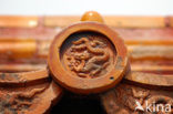 Forbidden City