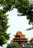 Forbidden City