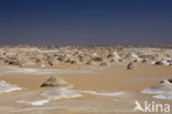 White Desert National Park