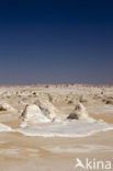 White Desert National Park