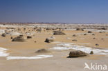 White Desert National Park