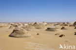 White Desert National Park