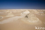 White Desert National Park