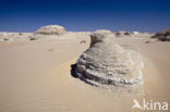 White Desert National Park