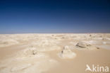 White Desert National Park