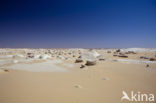 White Desert National Park